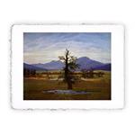 Stampa di Caspar David Friedrich - L'albero solitario - 1822 - Miniartprint - cm 17x11