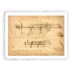 Stampa d''arte di Leonardo da Vinci - Ponte, Folio - cm 20x30