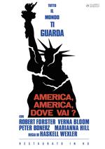 America, America, dove vai? Restaurato in HD (DVD)