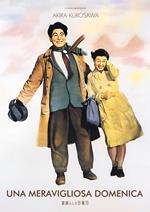 Una Meravigliosa Domenica (DVD)