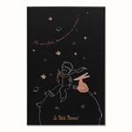 Taccuino Moleskine 2023, Le Petit Prince in edizione limitata Large, copertina rigida, a righe, con Gift box