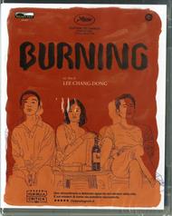 Burning (Blu-ray)