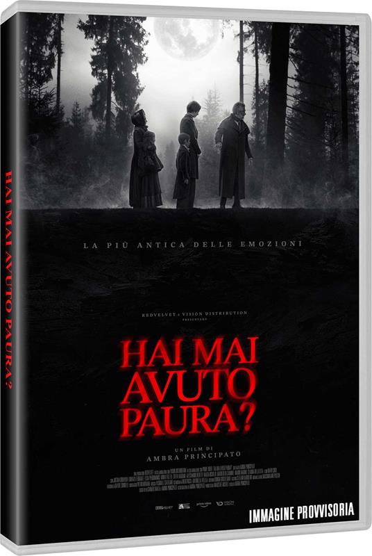 Hai mai avuto paura? (DVD) di Ambra Principato - DVD