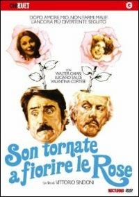 Son tornate a fiorire le rose di Vittorio Sindoni - DVD