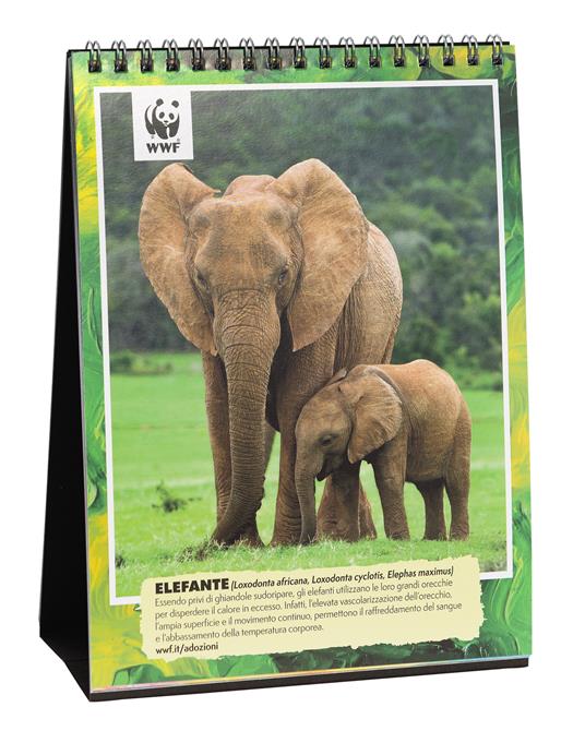 Calendario 2024 Wwf 15X20 Cm - 2