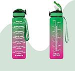 THE STEEL BOTTLE - Borraccia motivazionale 1 Litro con cannuccia e fasce orarie - BPA e Phthalate Free - Bottiglia chiusura ermetica - Ideale per sport, palestra campeggio (Pink & Green)