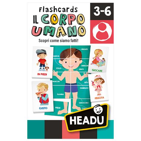 Flashcards Il Corpo Umano - 4