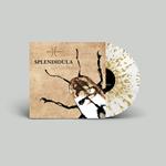 Splendidula (Colored 180 gr. Vinyl)