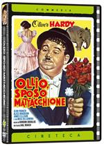 Ollio sposo mattacchione (DVD)