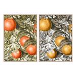 Quadro DKD Home Decor Frutta (2 pcs) (53 x 4.5 x 73 cm)