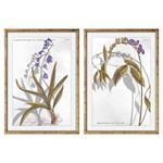 Quadro DKD Home Decor Piante botaniche (50 x 2 x 70 cm) (2 pcs)