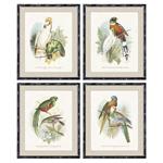 Quadro DKD Home Decor Uccelli (50 x 2 x 60 cm) (4 pcs)