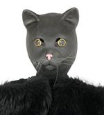 Maschera di gatto grigio