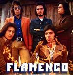 Flamenco