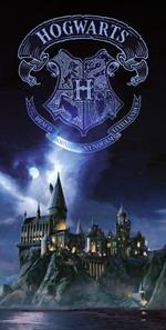 Harry Potter: Hogwarts 30 X 60 Cm Glass Poster