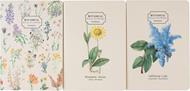 Pack 3 Quaderni A6 Botanical Wild Flowers Kokonote