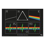 Pink Floyd: Grupo Erik - The Dark Side Of The Moon (Poster)