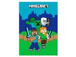 Minecraft Coperta In Pile Mojang Studios