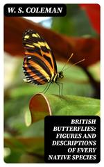 British Butterflies: Figures and Descriptions of Every Native Species