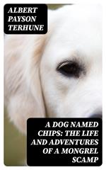 A Dog Named Chips: The Life and Adventures of a Mongrel Scamp