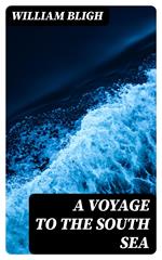 A Voyage to the South Sea