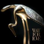 Wait for Love (Limited Edition)