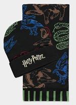 Harry Potter Berretto & Sciarpa Set Hogwarts Houses Colored Difuzed
