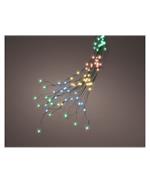 Lumineo Filo Bunch 832led Steady 240cm Luce Multicolor Uso Esterno