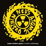 Some Furtive Years? -? A Ned'S Anthology