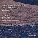 Jorge Villacencio Grossman - From Afar