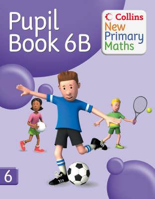 Pupil Book 6B - cover