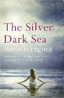 The Silver Dark Sea