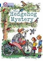 The Hedgehog Mystery: Band 16/Sapphire