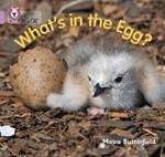 What’s in the Egg?: Band 00/Lilac