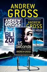 Andrew Gross 3-Book Thriller Collection 2: 15 Seconds, Killing Hour, The Blue Zone