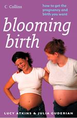 Blooming Birth: How to get the pregnancy and birth you want