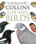 Collins Life-Size Birds: The Only Guide to Show British Birds at Their Actual Size