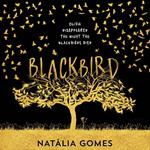 Blackbird: A dark murder mystery that fans of 13 Reasons Why, John Green and Jennifer Niven will devour