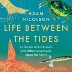 Life Between the Tides: In Search of Rockpools and Other Adventures Along the Shore