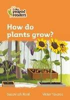 Level 4 - How do plants grow?