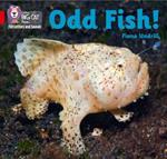 Odd Fish!: Band 02b/Red B