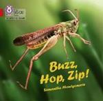 Buzz, Hop, Zip! Big Book: Band 02a/Red a