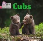 Cubs: Phase 2 Set 5