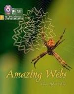 Amazing Webs: Phase 5 Set 2