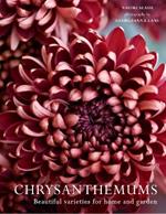 Chrysanthemums: Beautiful Varieties for Home and Garden