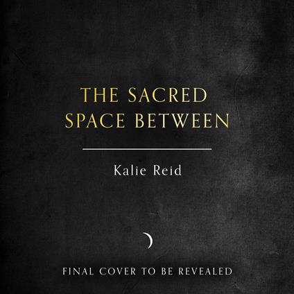 The Sacred Space Between: A simmering enemies to lovers romantasy brand new for 2025!