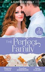 A Surprise Family: The Perfect Family: Having Her Boss's Baby (Pregnant by the Boss) / Their Meant-to-Be Baby / The Night That Started It All