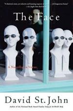 The Face: A Novella In Verse