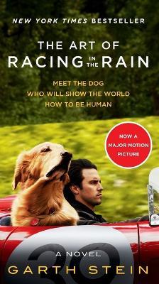 The Art of Racing in the Rain Movie Tie-In Edition - Garth Stein - cover