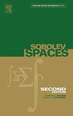 Sobolev Spaces